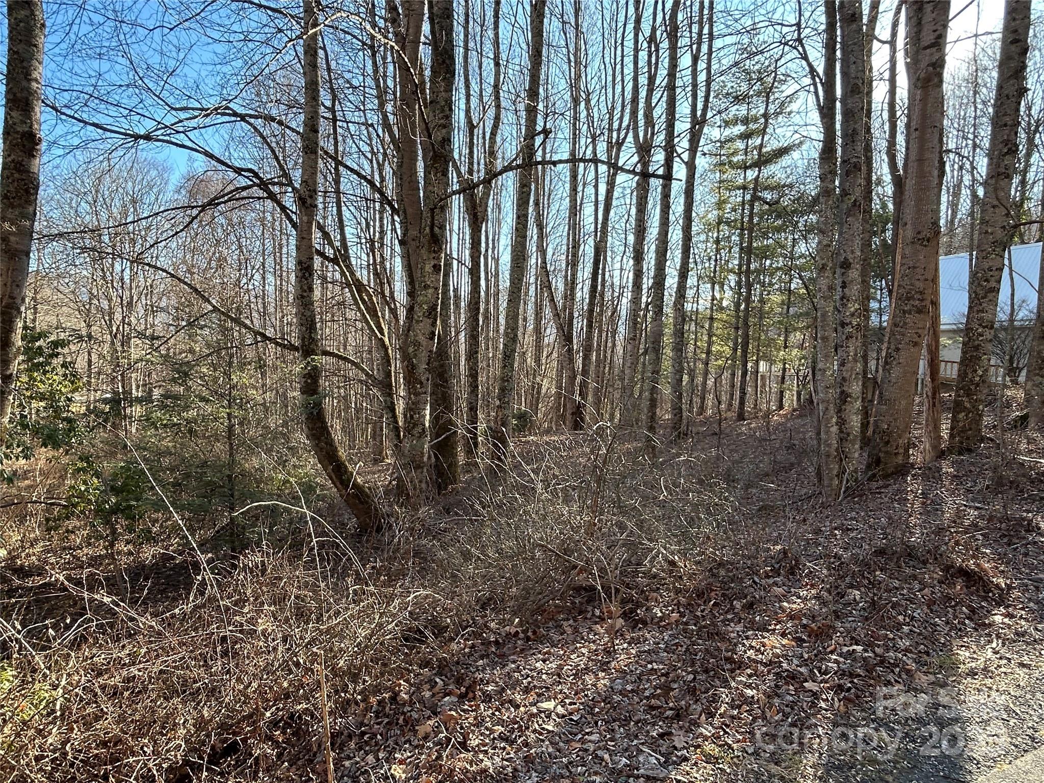 25 Little Creek