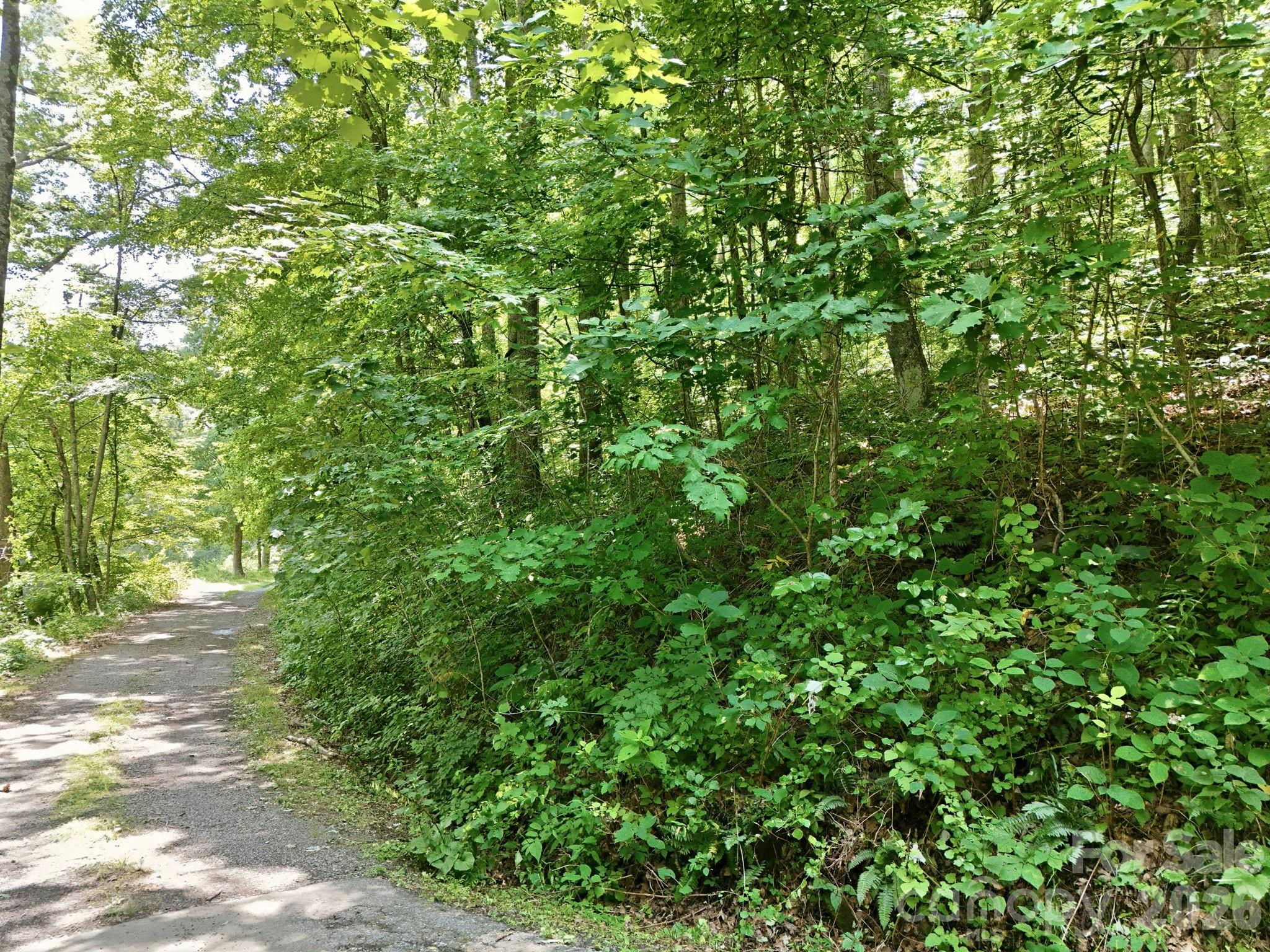 28 Mountain Breeze Trail