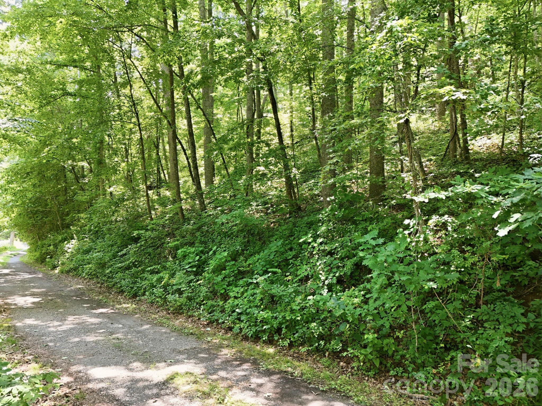 28 Mountain Breeze Trail
