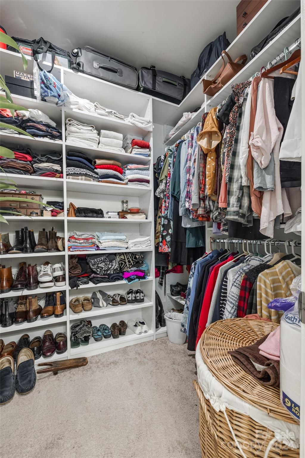 Roddey Park - Residential