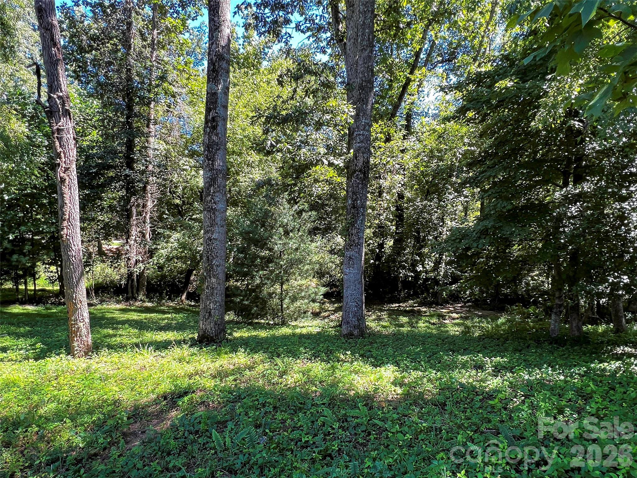 The Cliffs at Walnut Cove - Land