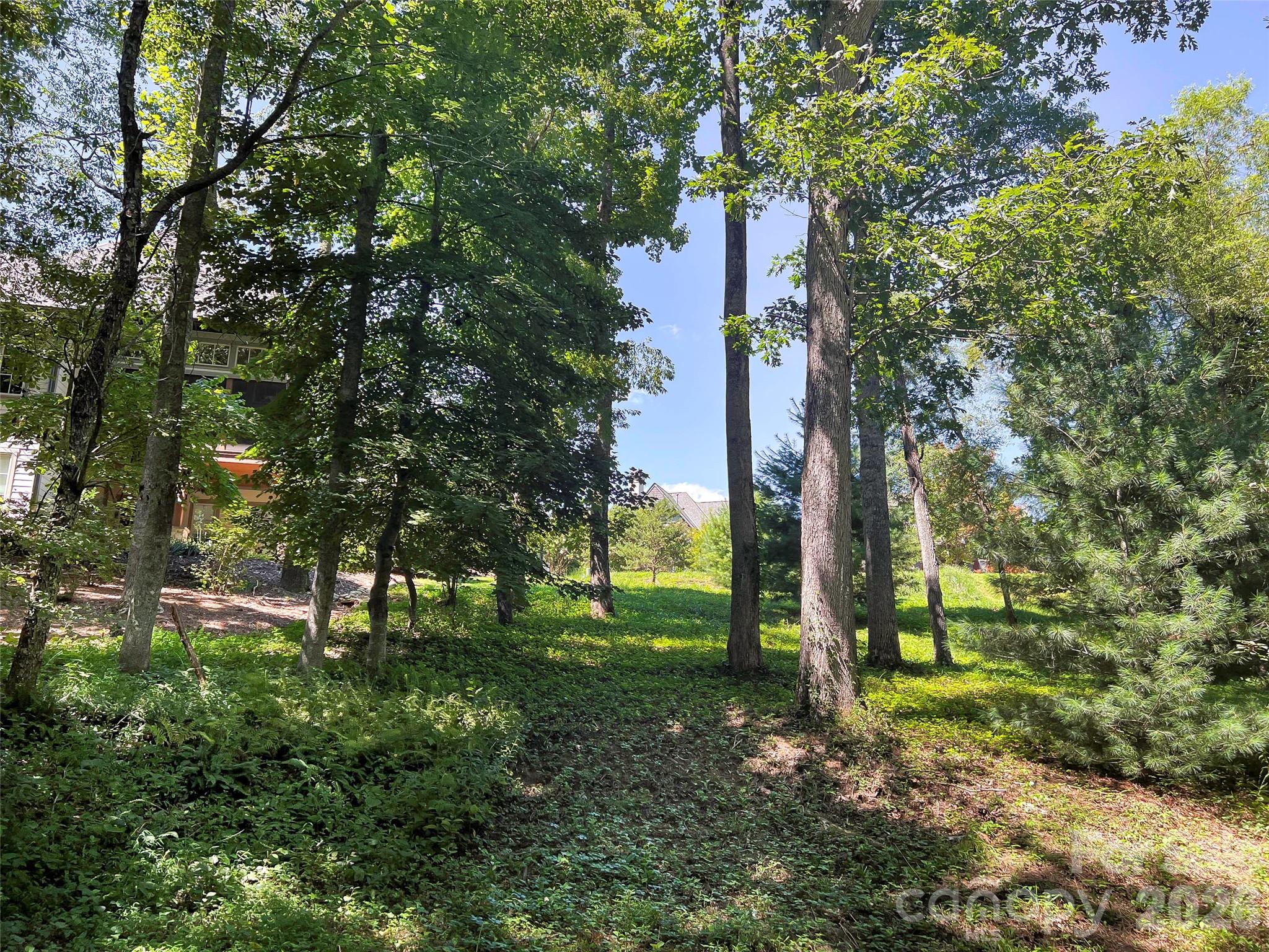The Cliffs at Walnut Cove - Land