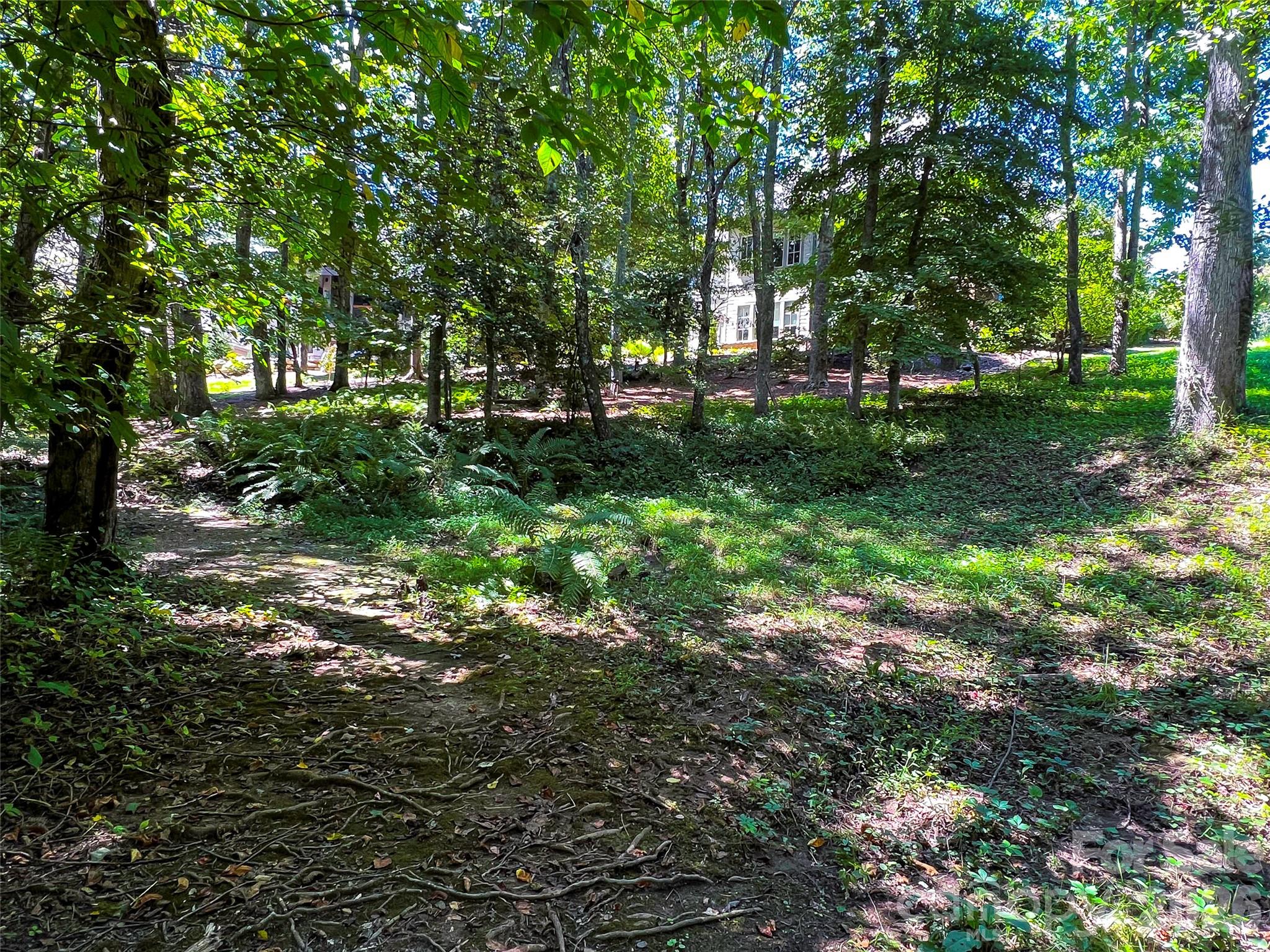 The Cliffs at Walnut Cove - Land