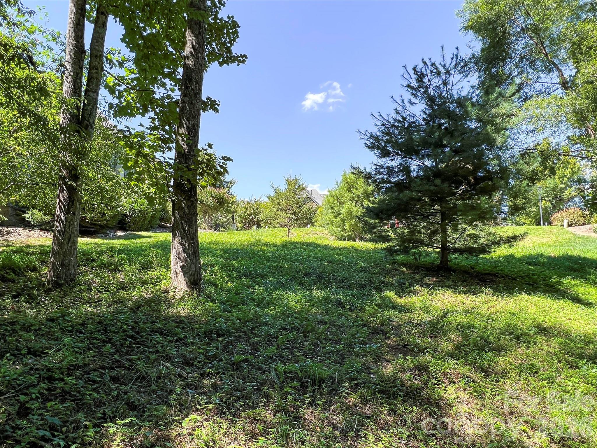 The Cliffs at Walnut Cove - Land