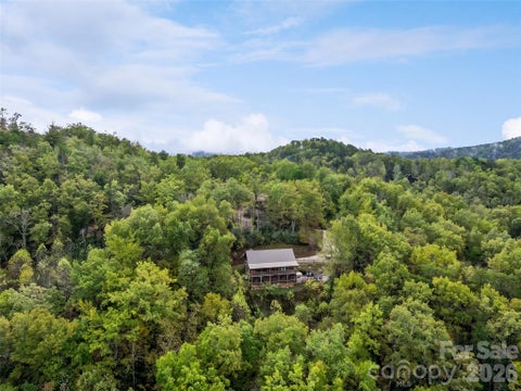 Photo of 235 Soaring Eagle Road, Bryson City, NC 28713 (MLS # 4316418)