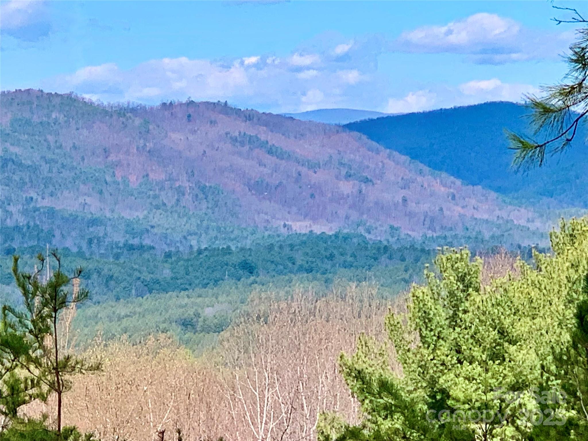 The Coves Mountain River Club - Land