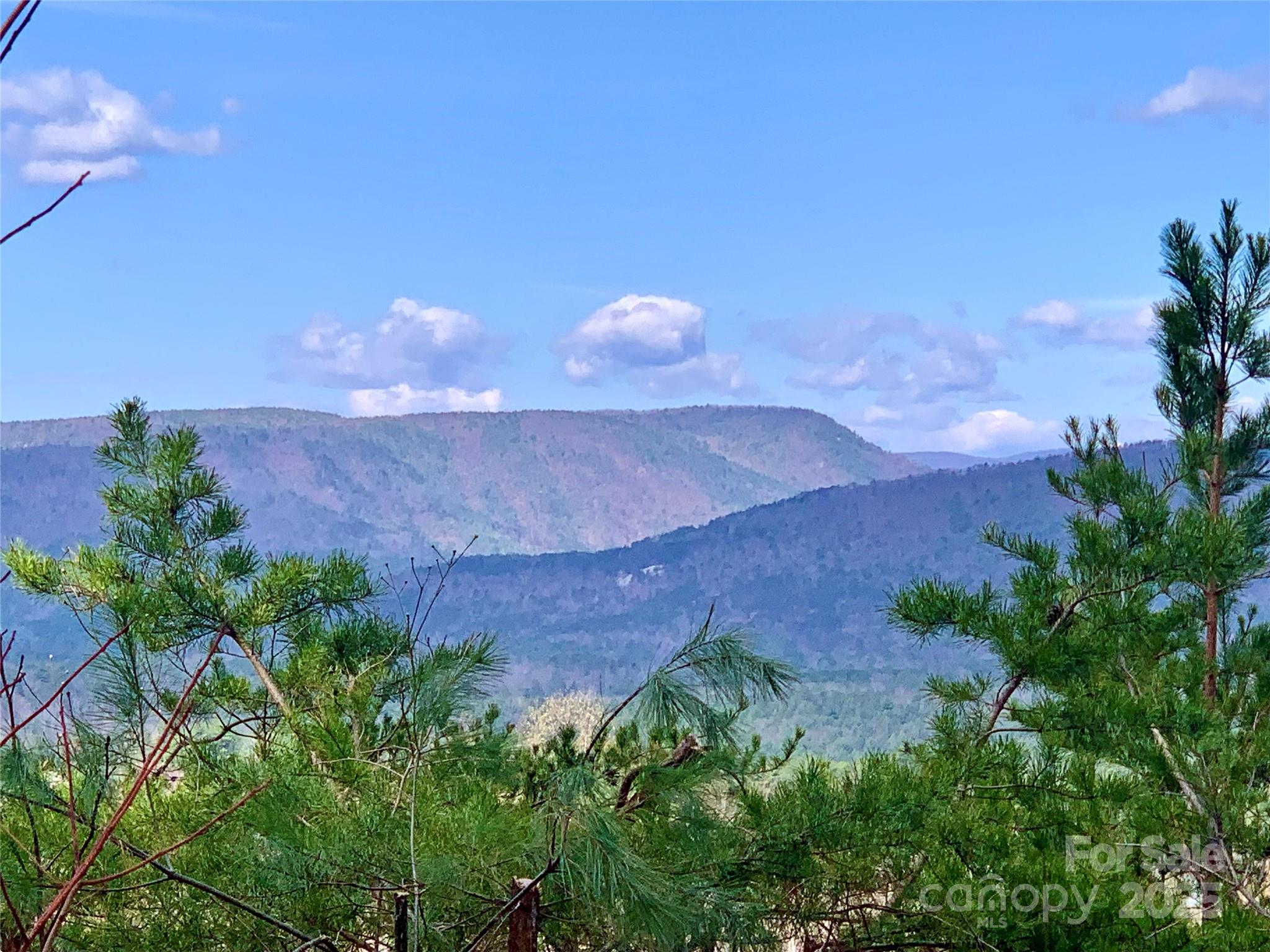 The Coves Mountain River Club - Land