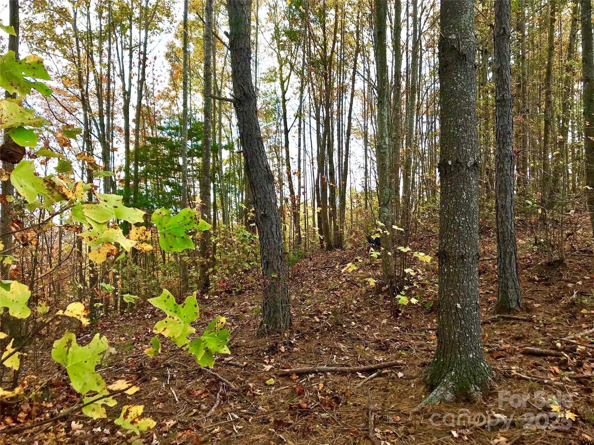 1.62 acres Lot 204B Johns Ridge Parkway Lot 204B