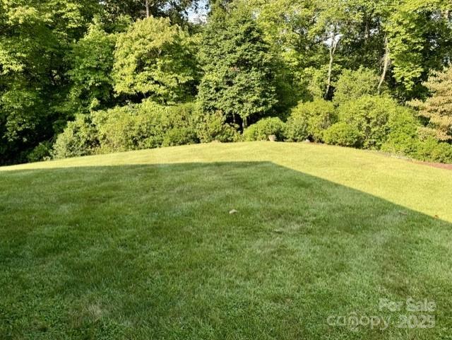 503 Paw Paw Cove None 18
