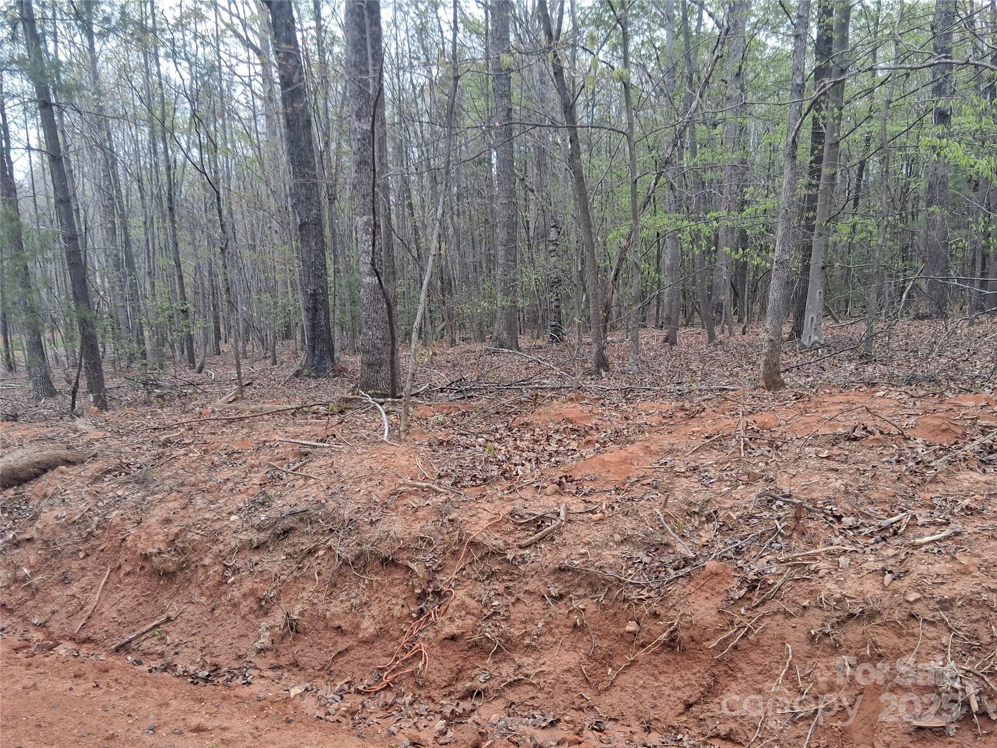 Maverick Acres - Land