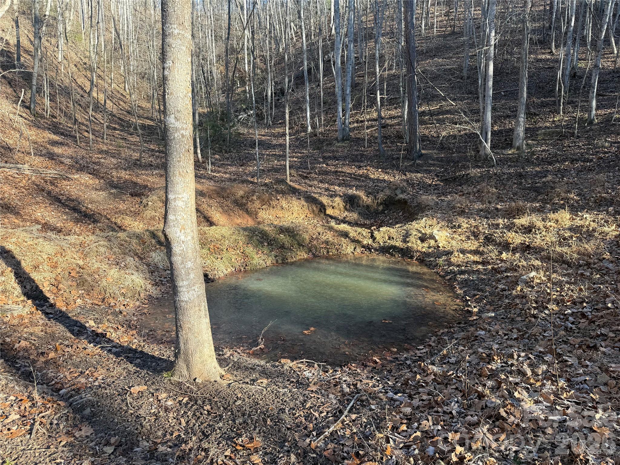 9999 Plum Tree Holler Drive