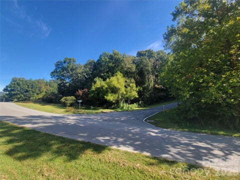 Photo of 00 Liner Cove Road #00, Waynesville, NC 28786 (MLS # 4430319)