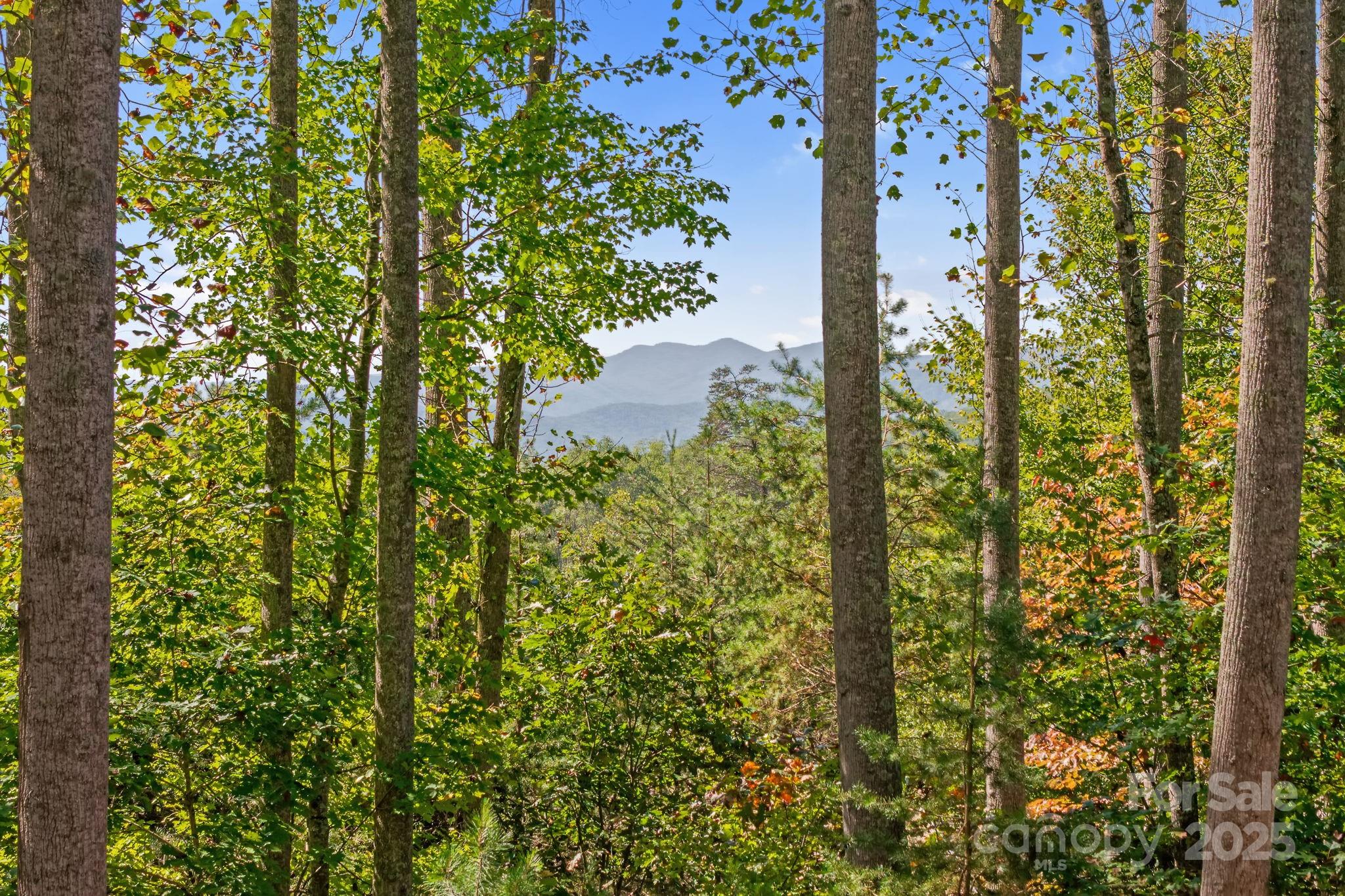 21 Luther Woods Drive