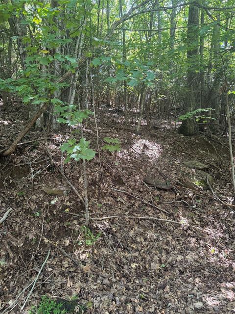 000 Wild Cherry Drive 187 Mills River NC 28759