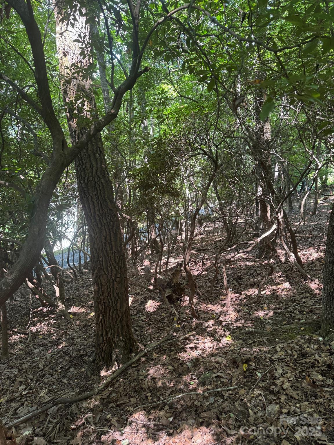 000 Wild Cherry Drive 187