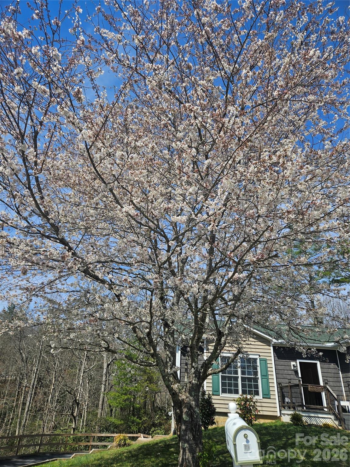 243 Scenic Ridge Drive