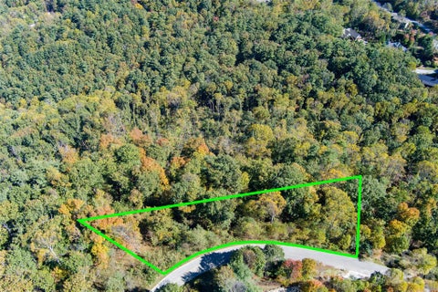 Photo of 130 Summit Tower Circle, Asheville, NC 28804 (MLS # 4436251)