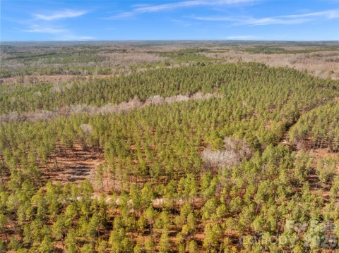 Photo of 000 Peacehaven Road #6, McConnells, SC 29726 (MLS # 4423794)