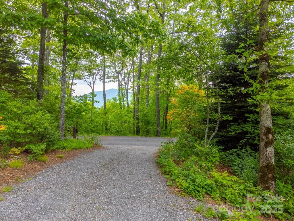 Balsam Mountain Preserve - Residential