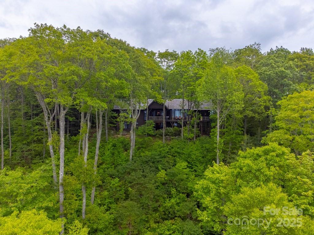 Balsam Mountain Preserve - Residential