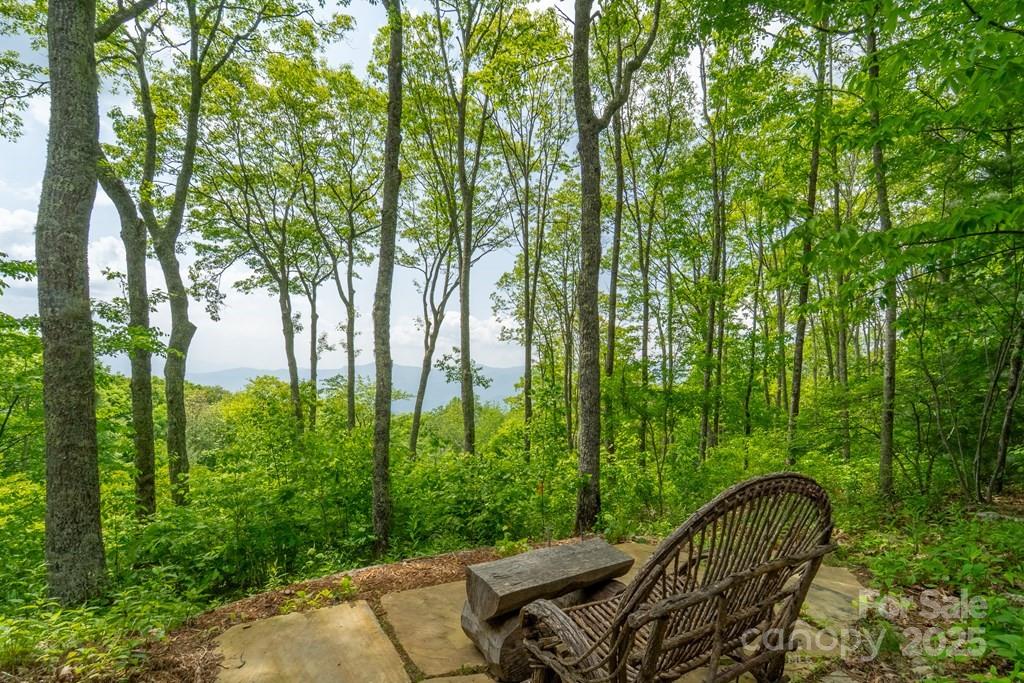 Balsam Mountain Preserve - Residential
