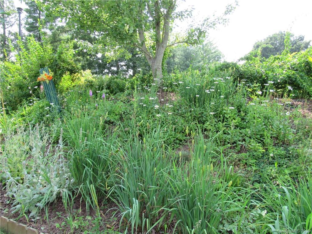 Meadows Of Bradley Branch - Residential