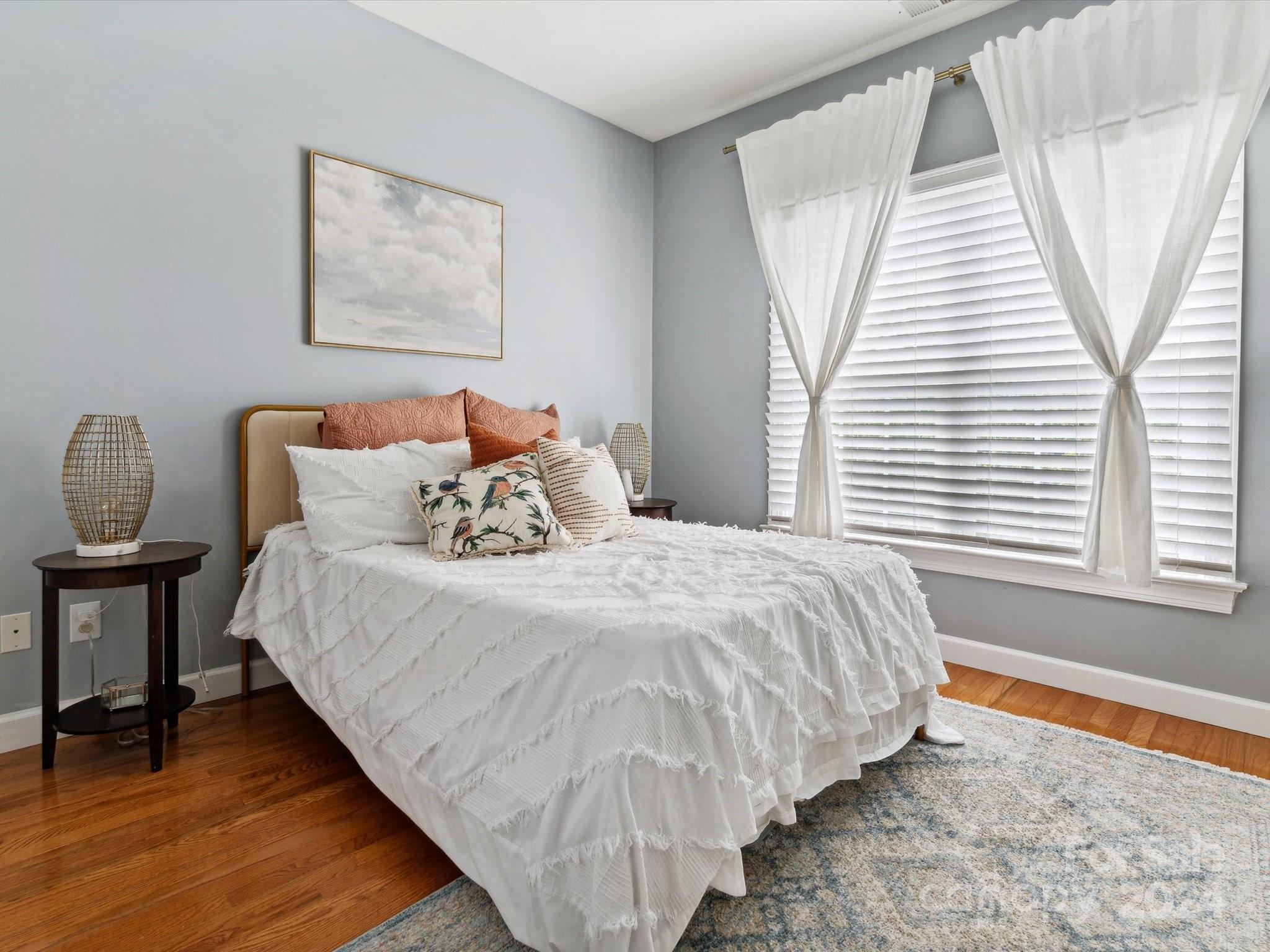 Chestnut Hill - Residential