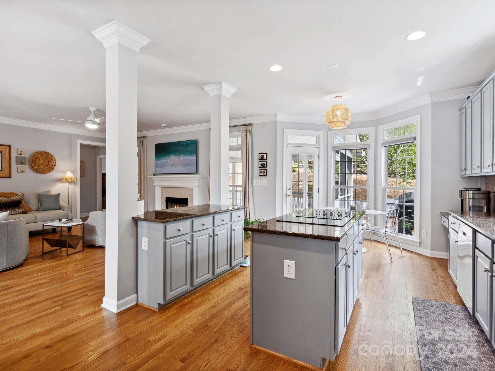 Chestnut Hill - Residential