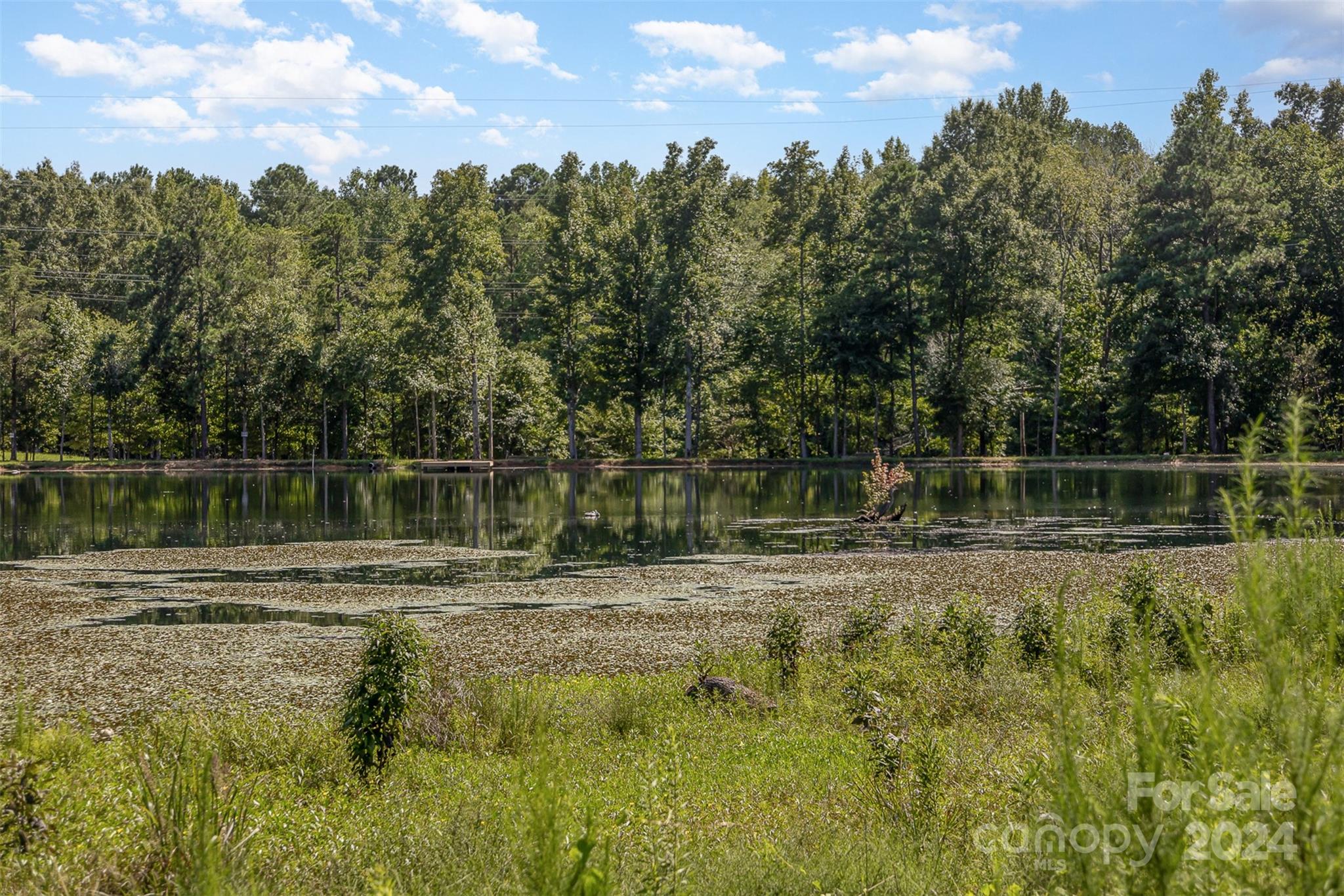 Henrys Orchard - Residential
