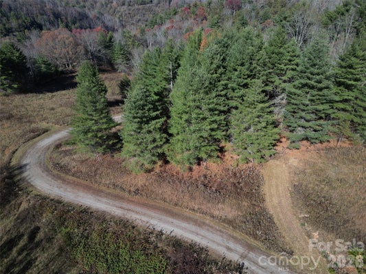 31 DREAM VALLEY DR, CLYDE, NC 28721 - Image 81a2adfc20dcaf6da29e5d8ae6e53ec8/3324767647