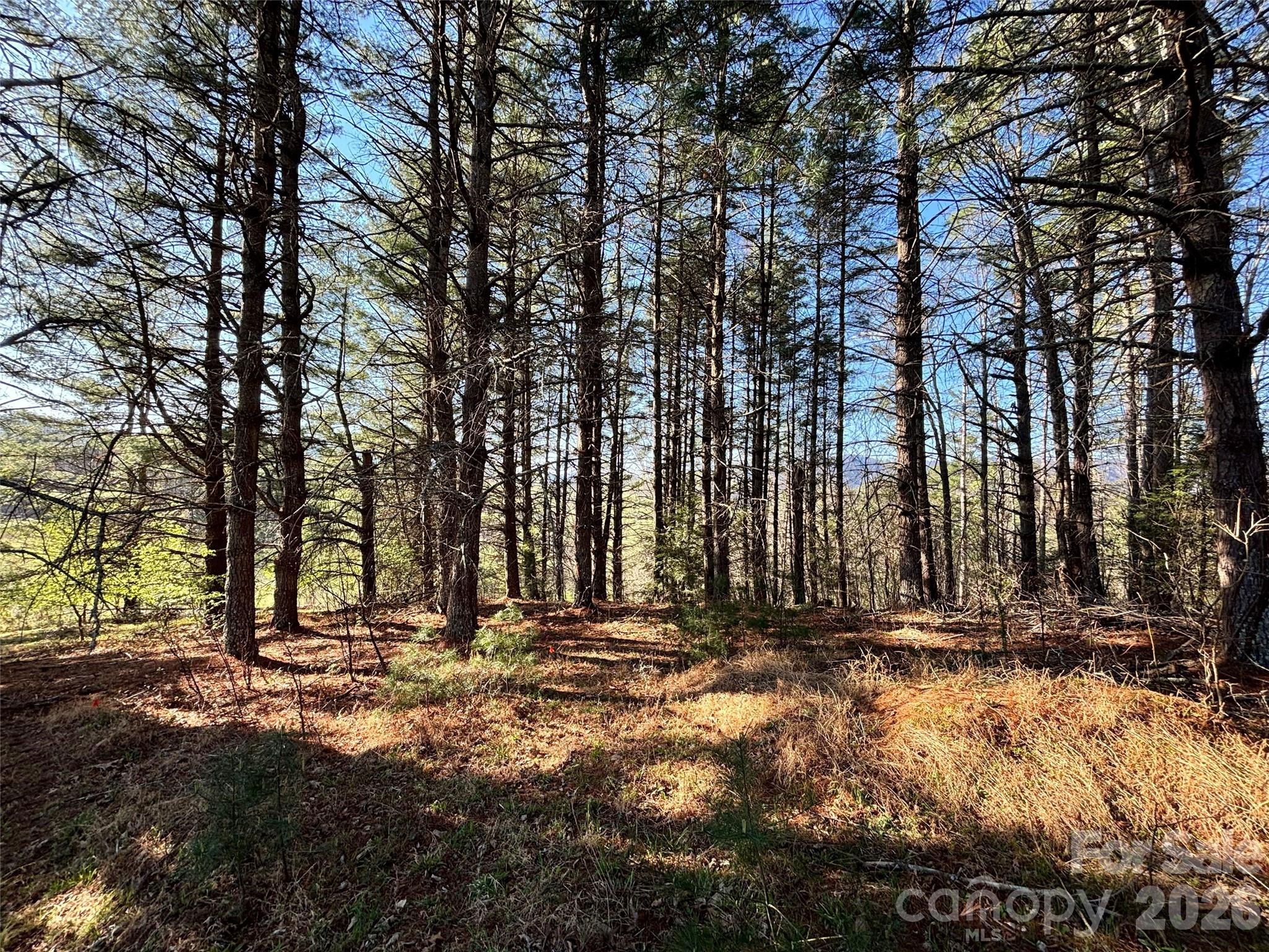 24 Dream Valley Drive 24