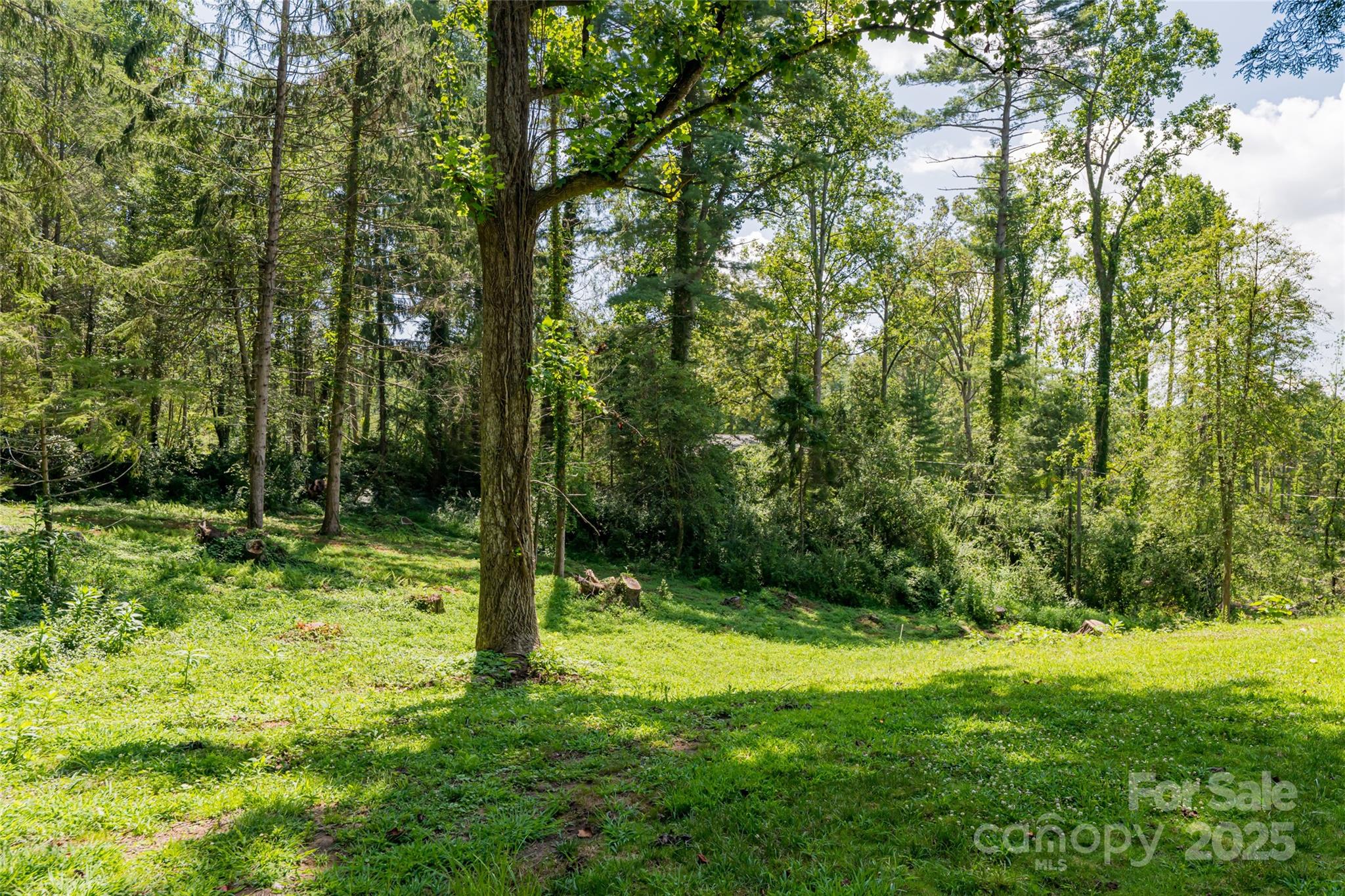 Biltmore Forest - Residential