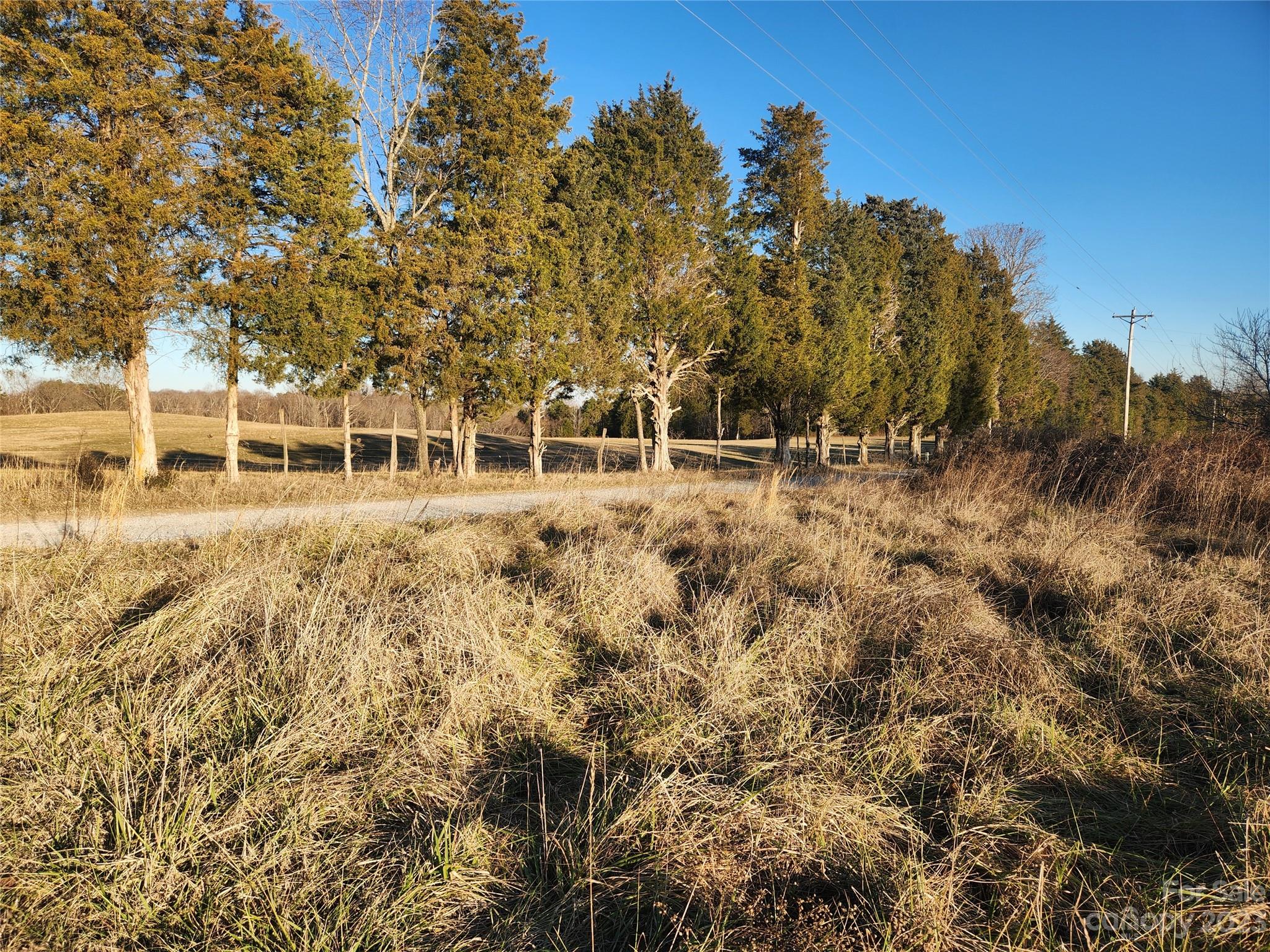 Spring Meadows - Land