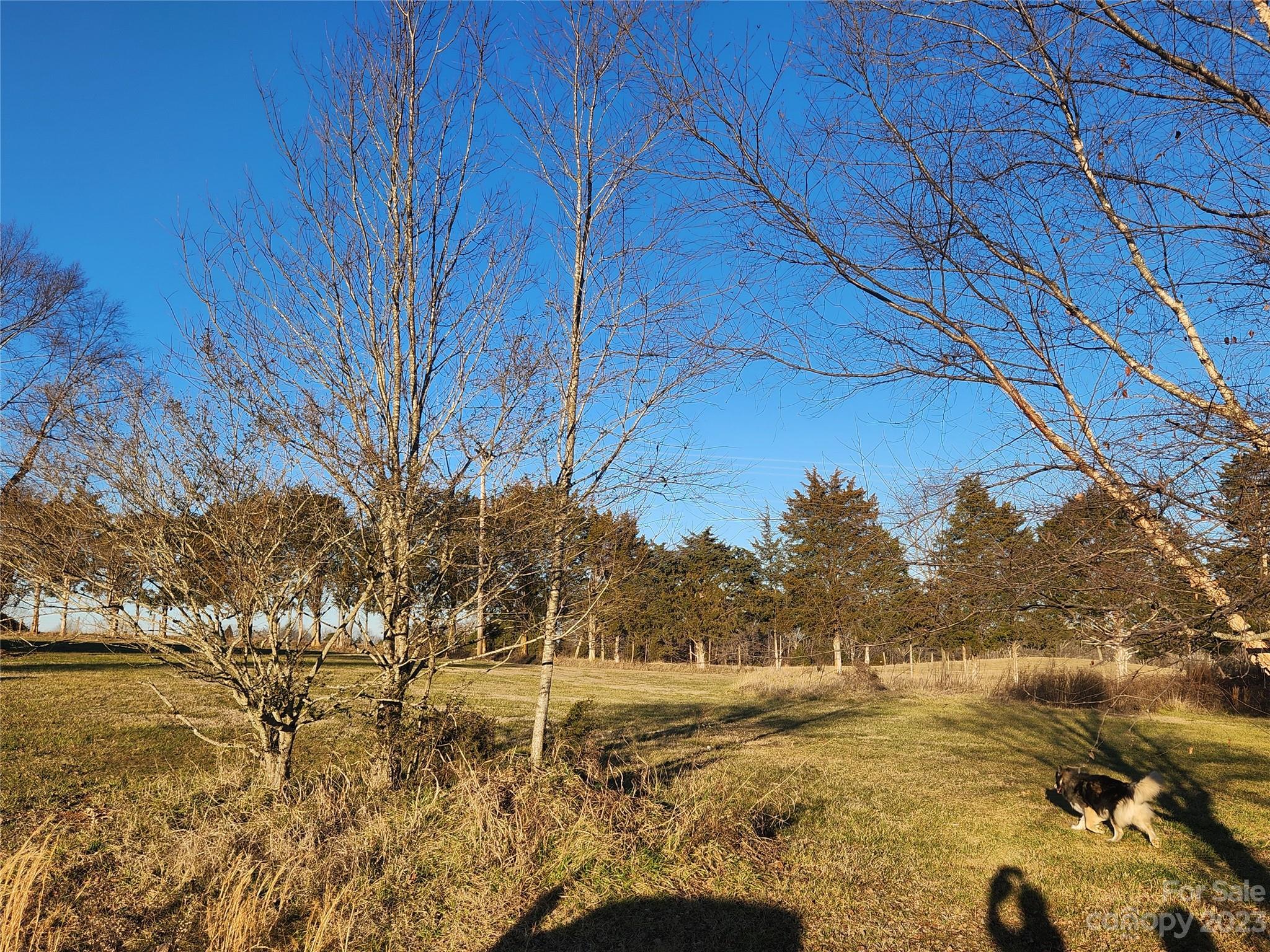 Spring Meadows - Land