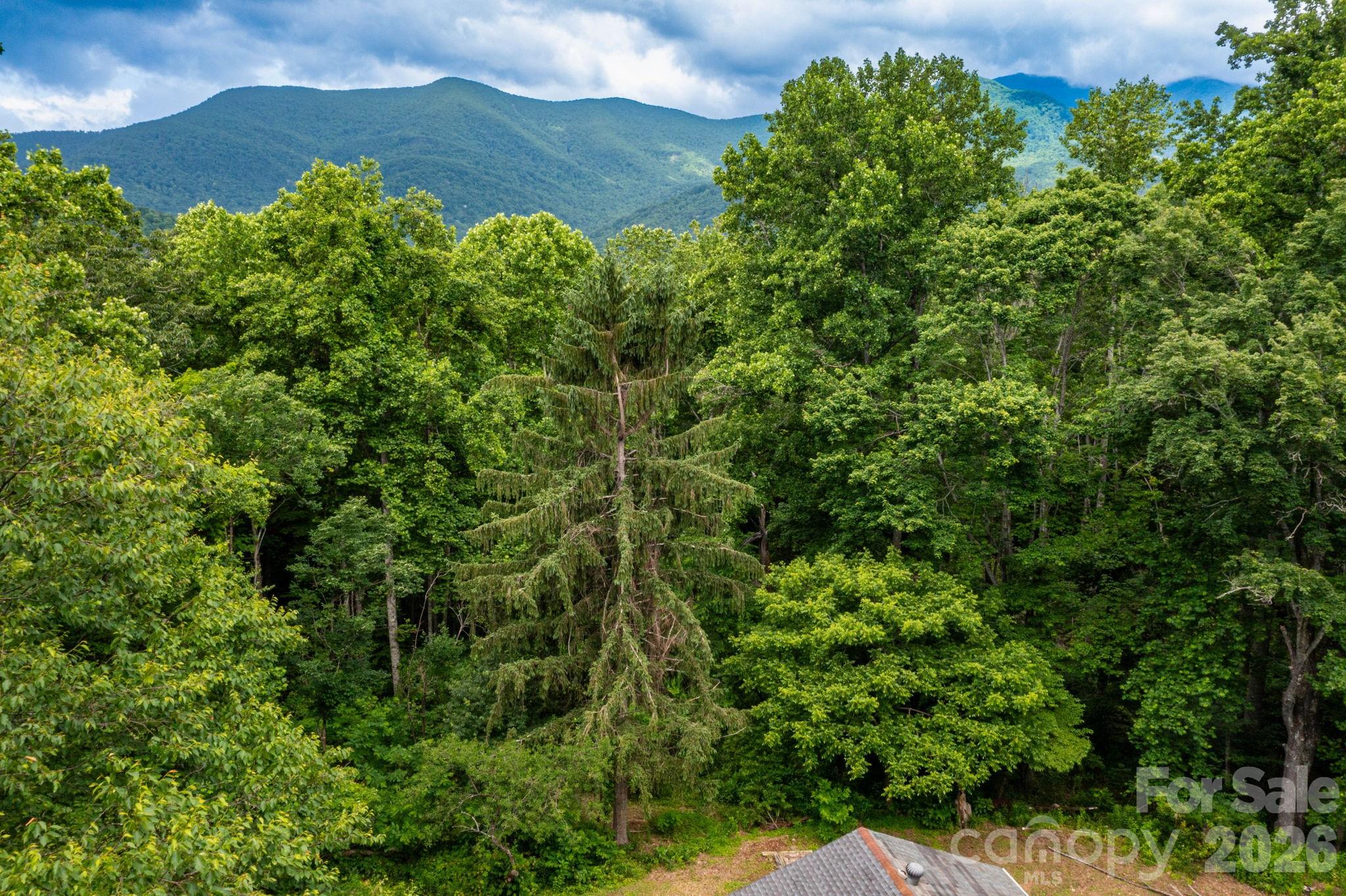 191 Walkertown Road
