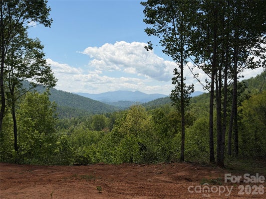 TIPTON LN, BAKERSVILLE, NC 28705 - Image 81cc397c760138aba1e4f80fcc61dd4b/4243087954