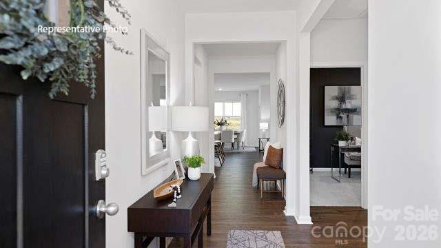 Bristol Terrace - Residential