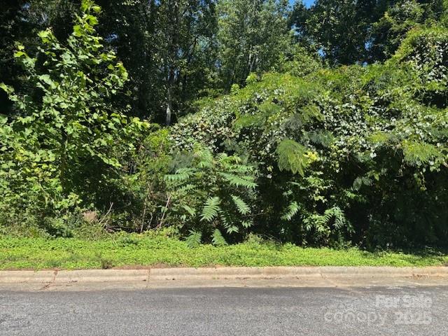 1541 & 1531 9th Street Lane NW