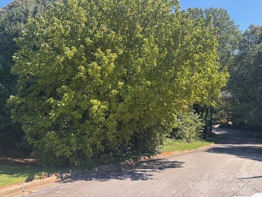 Rare Find in Forest Park Subdivision! Situated at the end of a quiet street, this combined double lot offers 1.05 acres of wooded privacy in one of Hickory’s most desirable neighborhoods. With city water and sewer available at the street, the property is ready for your dream home. Enjoy the seclusion of a tucked-away setting while still being close to top-rated schools and vibrant downtown Hickory. A unique opportunity to own a spacious home site in an established community.