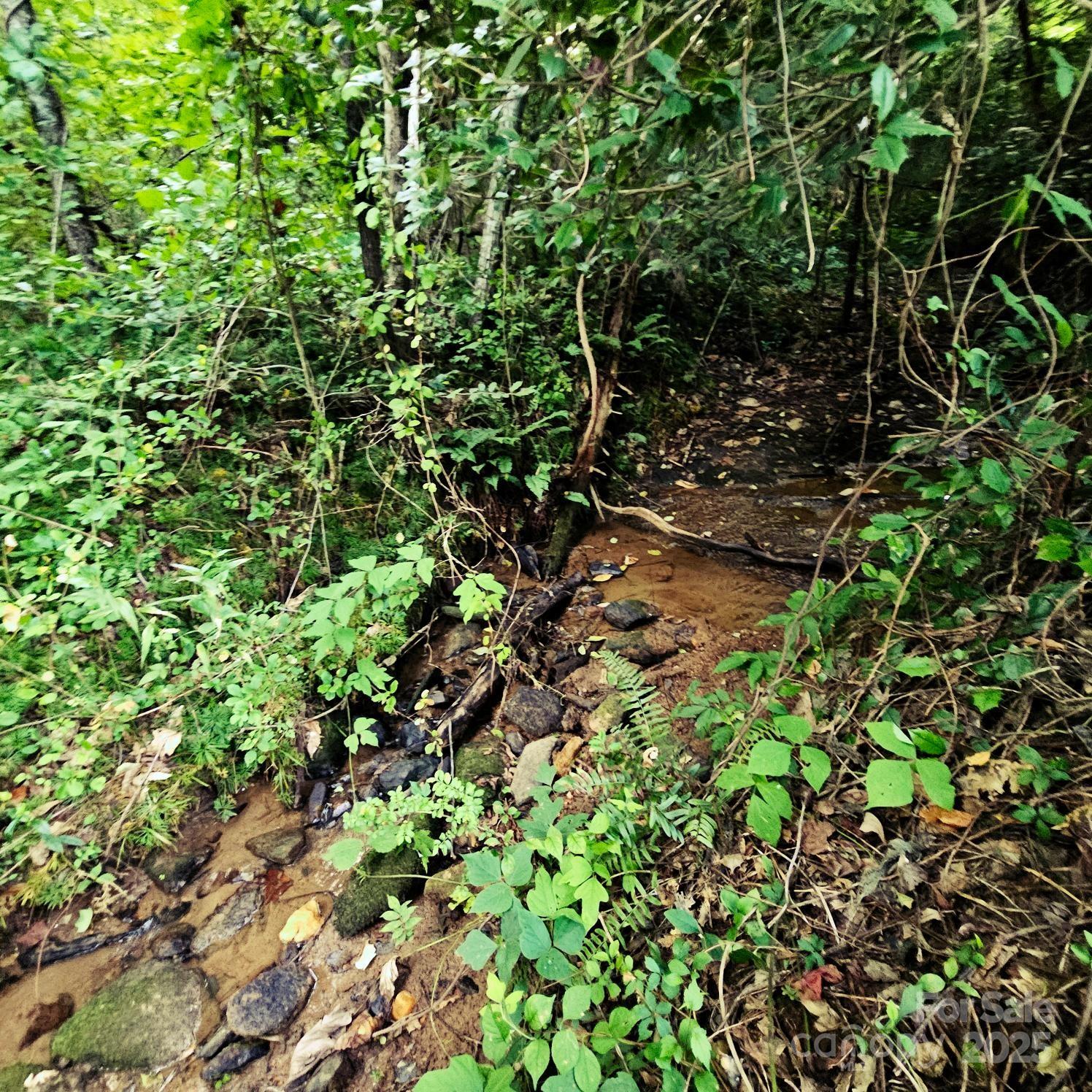 823 Silver Creek Road