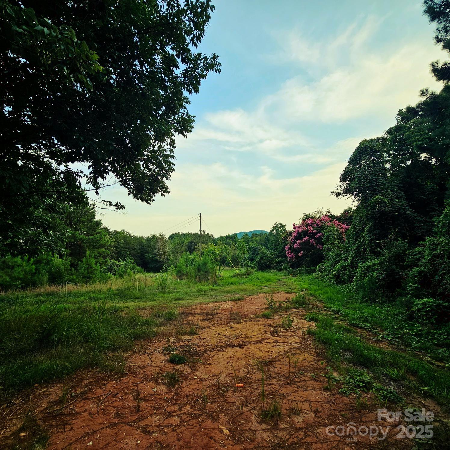 823 Silver Creek Road