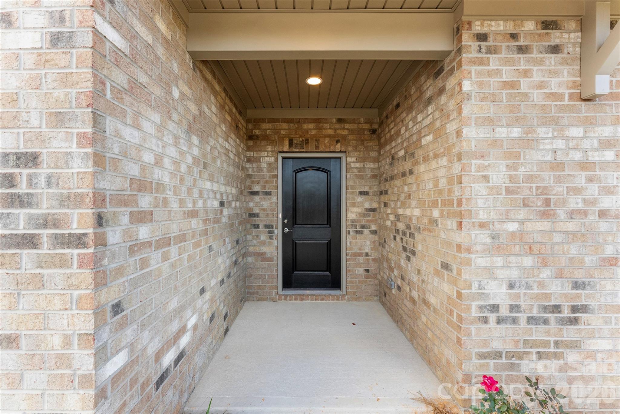 409 Newstyle Way