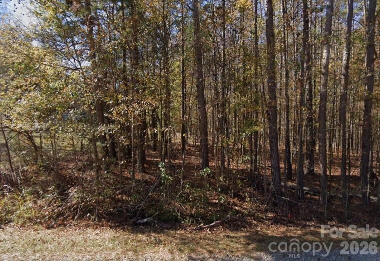 2804 Forest Lawn Drive, Weddington, NC, 28104