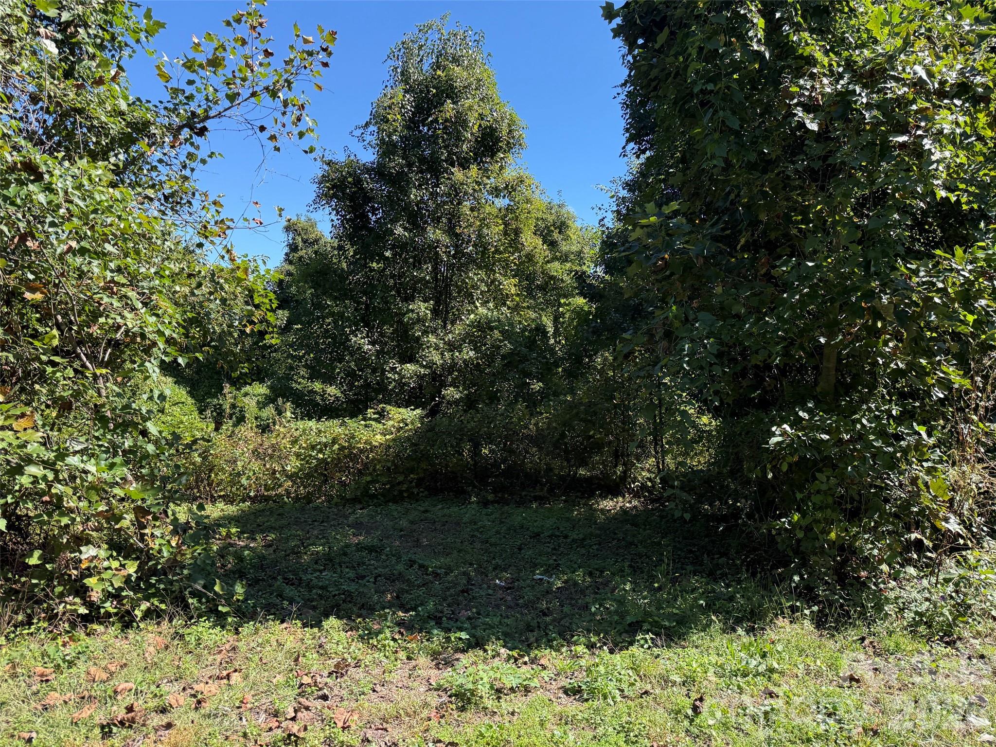 Lot 4 Bronco Pass