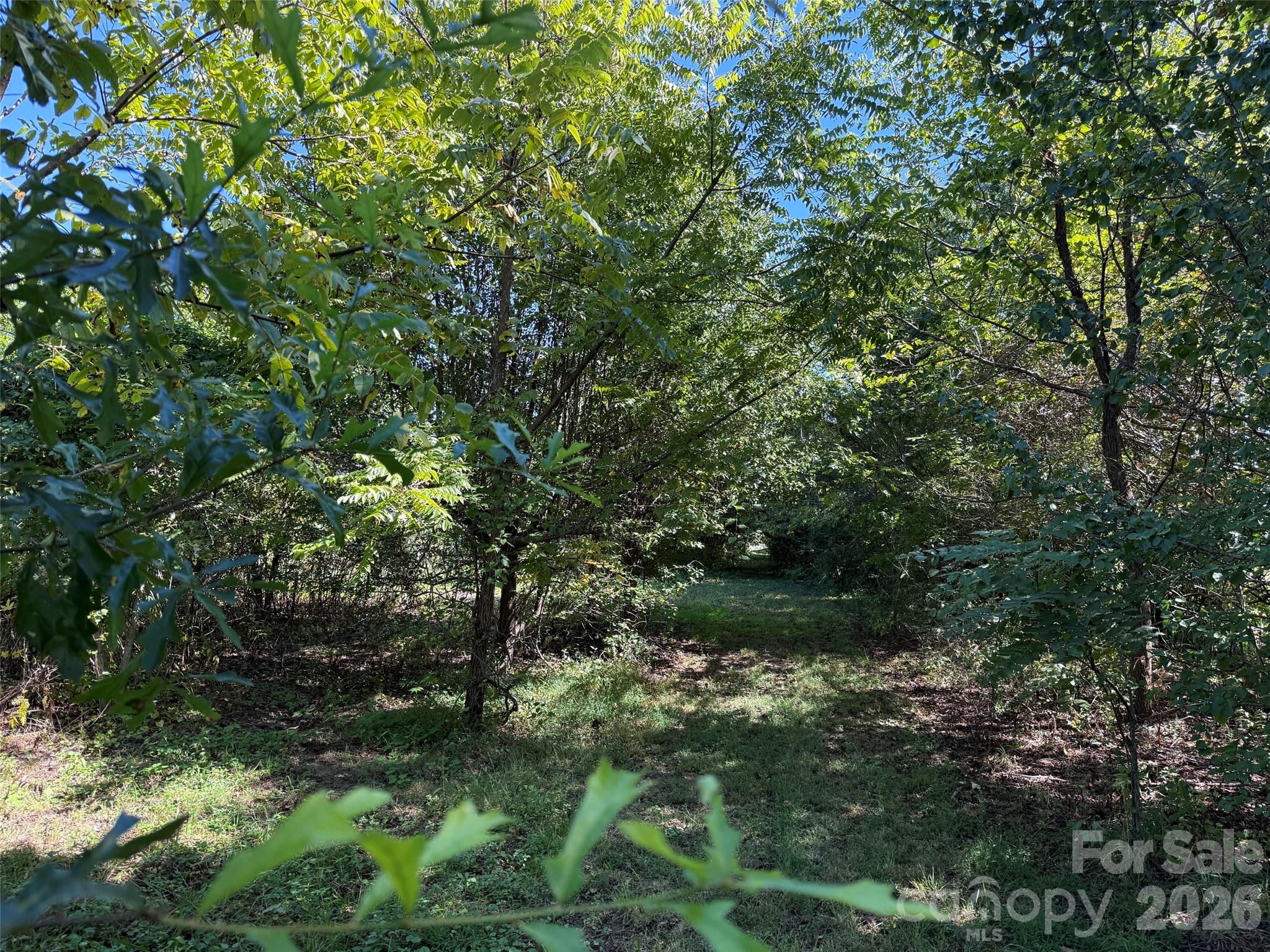 Lot 4 Bronco Pass
