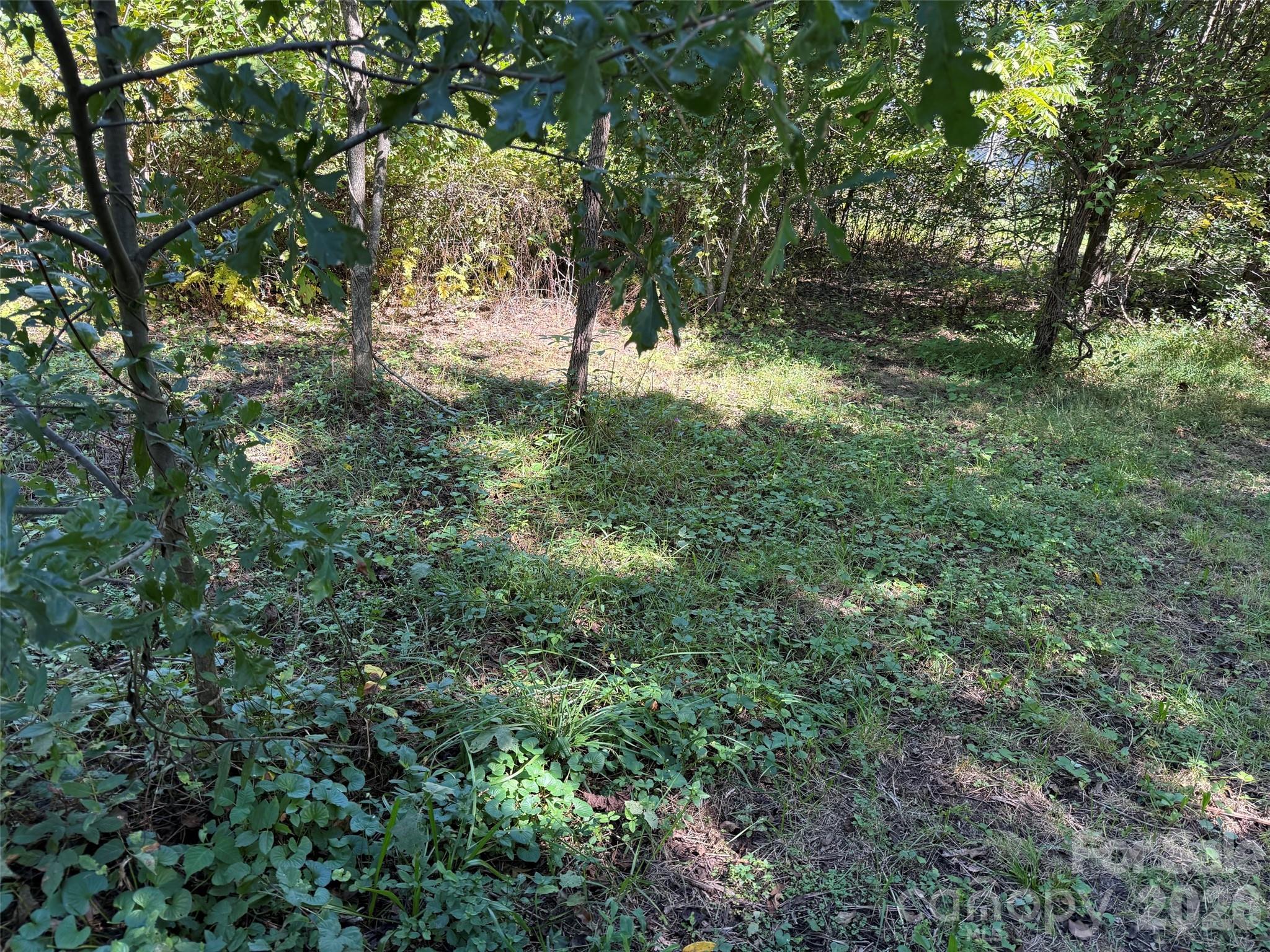Lot 4 Bronco Pass
