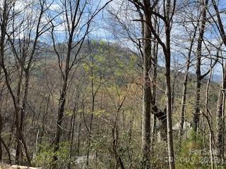 Smoky Mountain Retreat at Ridgewood Estates - Land