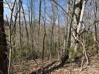 Smoky Mountain Retreat at Ridgewood Estates - Land