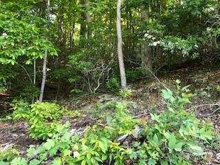 Smoky Mountain Retreat at Ridgewood Estates - Land