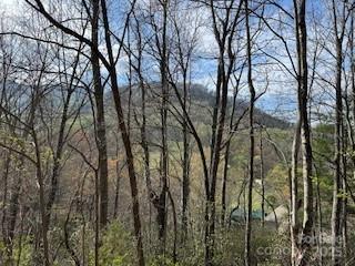 Smoky Mountain Retreat at Ridgewood Estates - Land